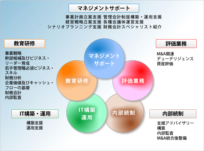 企業戦略・管理会計・ERM・IT構築・企業研修のコンサルティングサービス